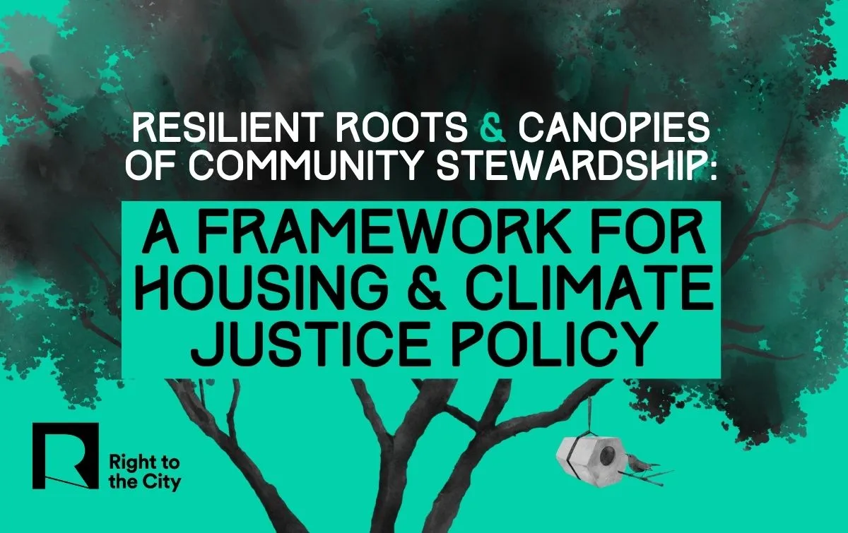 Roots and Canopies of Community Stewardship: A Framework for